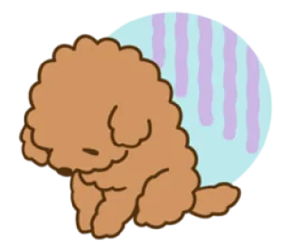 😓 cão, fofo, desenho animado, poodle, marrom whatsapp sticker