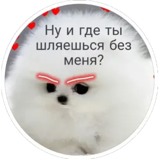 😠 Ну и где ты шляешься без меня? dog, animal, sticker, cute telegram sticker
