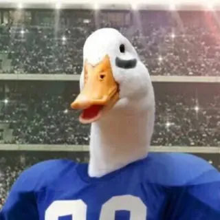 💪 duck, football, sports, uniform, athlete whatsapp sticker