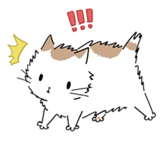 ⚠ gatto, animale, cartone animato, carino, spaventato telegram sticker