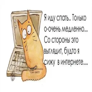 😅 Я иду спать.. Только
о-очень медленно...
Со стороны это
выглядит, будто я
сижу в интернете.... mèo, máy tính, ngủ, internet, hài hước, meme telegram sticker