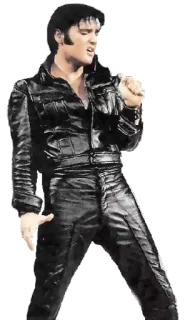 🎤 Elvis Presley Elvis, Elvis Presley, ca sĩ, nghệ sĩ biểu diễn, âm nhạc, rock and roll telegram sticker