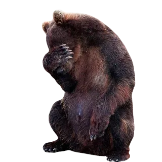 😢 bear, animal, sad, crying telegram sticker