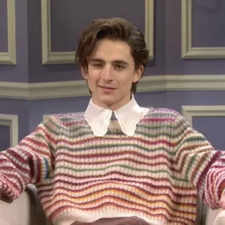 😉 Timothée Chalamet Тимоти Шаламе, актер, знаменитость, подмигивание, свитер, портрет whatsapp sticker