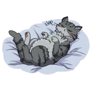 😴 sleep mèo, ngủ, dễ thương, hoạt hình, động vật telegram sticker