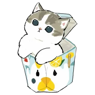 🙁 kucing, anak kucing, lucu, binatang, kotak, kartun, lemon telegram sticker