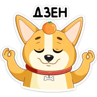 🥎 ДЗЕН cachorro, zen, meditação, laranja, fofo, desenho animado, corgi telegram sticker