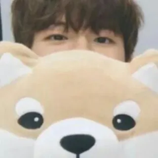 🐶 whatsapp sticker