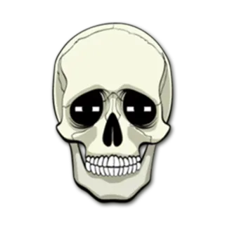 😁 crâne, squelette, mort, effrayant, os whatsapp sticker