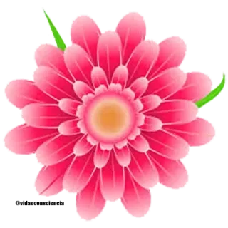 🌹 Blume, Blumenmuster, Rosa, Blütenblatt, Natur, Pflanze, Blüte whatsapp sticker