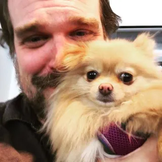 🥺 homem, cão, animal de estimação, pomerânia, feliz, retrato telegram sticker
