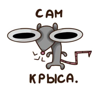 😝 САМ КРЫСА. ratto, animale, cartone animato, umorismo, insulto, russo, roditore telegram sticker