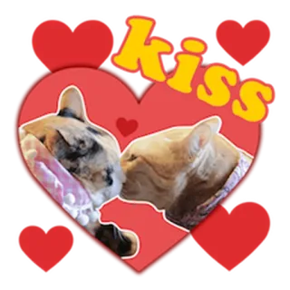 😘 Kiss Katze, Kuss, Herz, Liebe, Tier, Aufkleber telegram sticker