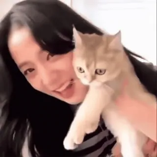 🚙 여자, 고양이, 애완동물, 동물, 귀여운, 미소 telegram sticker