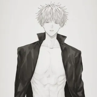 🌟 アニメ, 男性, 胴体, ジャケット, イラスト, アート telegram sticker