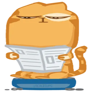 🚽 cat, reading, newspaper, cartoon, animal, orange, tired telegram sticker