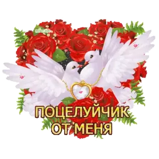 💋 ПОЦЕЛУЙЧИК
ОТ МЕНЯ love, kiss, roses, pigeons, heart, greeting telegram sticker