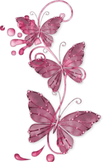 🎀 vlinder, natuur, roze, insecten, decoratief telegram sticker