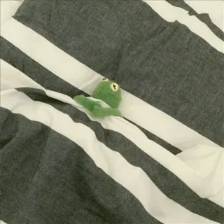 Kermit🐸❤️ telegram stickers
