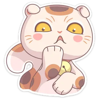 😳 кот, милый, котенок, животное, питомец, стикер whatsapp sticker