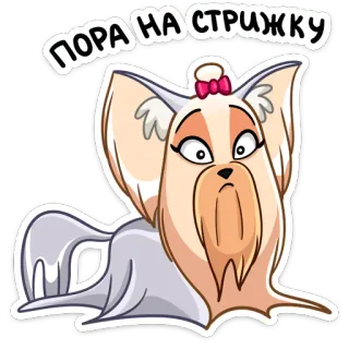 💇 ПОРА НА СТРИЖКУ perro, lindo, cachorro, corte de pelo, aseo, mascota, animal telegram sticker