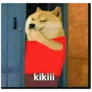 😁 Doge kikiii pies, mem, słodki, shiba inu whatsapp sticker