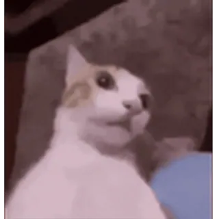🤩