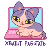 👨‍💻 KITTY POCKET kot, laptop, kotek, kieszeń, słodki, zwierzę, kreskówka telegram sticker