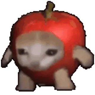 🐈 кот, яблоко, фрукт, костюм, животное, милый telegram sticker