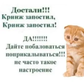 🐱 Достали!!!
Кринж запостил,
Кринж запостил!
ДА!!!!!!!
Дайте побаловаться
поприкалываться!!!
не часто такое
настроение 고양이, 밈, 웃긴, 새끼 고양이, 오글거림, 장난기 telegram sticker