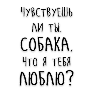 🐶 ЧУВСТВУЕШЬ ЛИ ТЫ, СОБАКА, ЧТО Я ТЕБЯ ЛЮБЛЮ? text, russian, expression of love, dog telegram sticker
