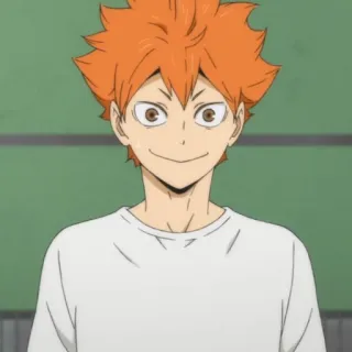 ☀️ Hinata Shoyo Haikyuu!! anime, haikyuu, hinata, shoyo, character, orange hair telegram sticker