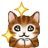 ✨