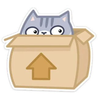 👀 gato, caixa, animal, fofo, adesivo, engraçado whatsapp sticker