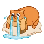 😭 cat, crying, sad, tears, cartoon, animal, orange, sticker whatsapp sticker