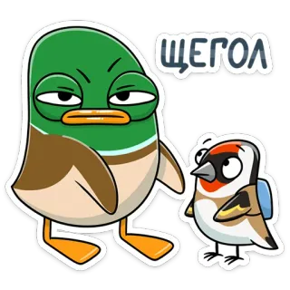😐 ЩЕГОЛ uccelli, anatra, cardellino, cartone animato, adesivo whatsapp sticker