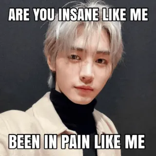 😘 ARE YOU INSANE LIKE ME
BEEN IN PAIN LIKE ME meme, portrait, quote, person, male, face telegram sticker