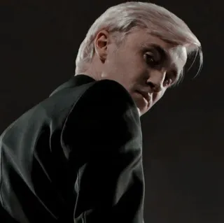 🪐 Draco Malfoy Harry Potter Draco Malfoy, Harry Potter, Tom Felton, Personagem, Mago, Slytherin telegram sticker