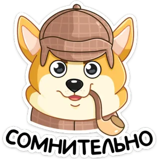 🤨 СОМНИТЕЛЬНО chien, détective, douteux, douteux, corgi, chapeau, pipe whatsapp sticker