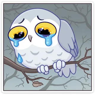 🥲 búho, llorando, triste, animal, pájaro, lágrimas, lindo, dibujos animados whatsapp sticker