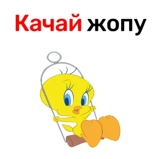 🍟 Tweety Bird Качай жопу ทวิตตี้, การ์ตูน, นก, ภาษารัสเซีย, ตลก, ออกกำลังกาย, ตัวละคร telegram sticker