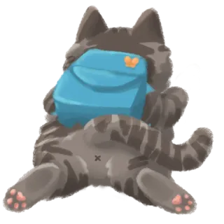 👩‍🎓 gatto, zaino, animale, carino, divertente telegram sticker