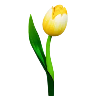 🌼 Blume, Tulpe, Gelb, Pflanze, Natur, Blumenmuster telegram sticker