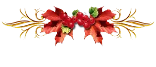 😵 autumn, red berries, leaves, gold, ornament, decoration whatsapp sticker
