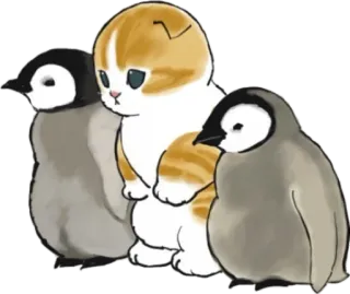 🐧 gato, pinguins, animais, fofo, adorável telegram sticker