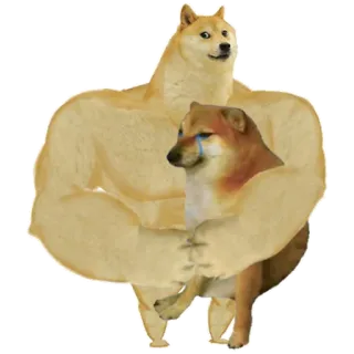 🤗 doge, meme, cane, muscoloso, piangendo telegram sticker