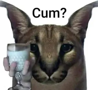 🍷 Cum? cat, floppa, meme, drink, animal, funny telegram sticker