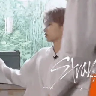 😌 Stray... бездомный, текст, k-pop, развлечения whatsapp sticker