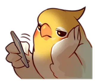 😪 calopsita, pássaro, emoji, fofo, telefone, digitando telegram sticker