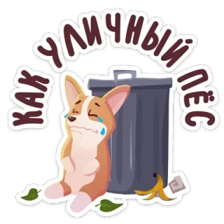 😰 уличный как пес cachorro, corgi, triste, lixo, chorando, russo telegram sticker